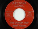 Surf Inst. 45 - Woody Waggers - The Sahara Hop - Daytone - mp3 - rare