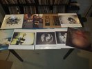 PJ Harvey Vinyl Record Lot: 9 Albums: Rid of Me, Let England Shake and More