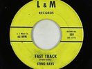 Surf 45 - Sting Rays - Fast Track - L&M - mp3