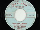 Teen/Rockabilly 45 - Way Mates - Once In A Lifetime - Skyland - mp3 - obscure
