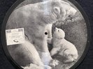 Saturn EG -102 Picture Disc Record 78 RPM Billy Ternent Brumas Roly Polar Bear