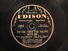 JAZZ MEL MORRIS PICCADILLY PLAYERS Tip-Toe Thru The Tulips With Me EDISON 14056