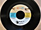 1959 S T E R E O 45RPM The Flamingos Love Walked In b/w Yours -End Records 1055
