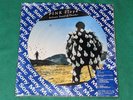 Pink Floyd - Delicate sound of thunder - BRAZIL ONLY PICTURE DISC PROMO LP 1989
