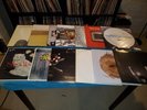 Wilco and Jeff Tweedy 13 Vinyl Record Lot: Yankee Hotel Foxtrot Being There
