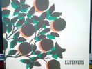 Castanets - Cathedral LP   Mint- 2004 Original with insert