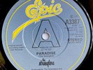 THE STRANGLERS -Paradise- Original UK  7” Promo (Vinyl Record)