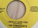 The Tomangoes - I really Love You / Gino Washington - Rat Race