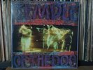 TEMPLE OF THE DOG ORIGINAL   1992 ORIGINAL SOUNDGARDEN PEARL JAM  vinyl  LP