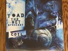 Toad The Wet Sprocket - Coil White Vinyl NEW/sealed Fear Dulcinea gin blossoms