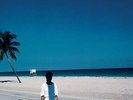 Steve Hiett ‎– Down On The Road By The Beach : SEALED VINYL LP GATEFOLD REISSUE