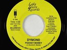 Funk Boogie 45 - Dymond - Pocket Money - Lake Shore - VG++ mp3