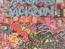 Luscious Jackson Natural Ingredients BLUE MARBLED VINYL Grand Royal Vinyl LP