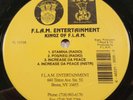 1995 - KINGZ OF F.L.A.M. - STAMINA / POS/NEG / INCREASE DA PEACE - RARE ORIGINAL