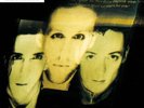 The Wild Swans LP Bringing Home The Ashes 2023 Translucent Vert Vinyle