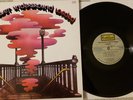 The Velvet Underground Loaded Used Vinyl VG+ 2000s Reissue