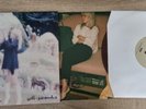 HAYLEY WILLIAMS Petals For Armor brown self-serenades VINYL rare EP 10