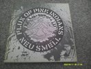 FLUX OF PINK INDIANS New Smell EP  1981  CRASS RECORDS   near mint