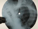 LED ZEPPELIN WHOLA LOTTA LOVE X-Ray USSR Record Roentgen Bones Ribs Music Vinyl