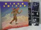 OINGO BOINGO  'only a lad'  '81 a&m / nm