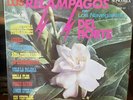 Los Navegantes Del Norte / exitos de los Relampagos del norte / vinyl record 33