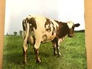 PINK FLOYD   Atom Heart Mother   UK 1st Press GRAM CO. NO EMI 1g/1g  EX LP