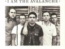 I AM THE AVALANCHE - Avalanche United - Vinyl (limited clear vinyl LP)
