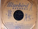 Washboard Sam BLUEBIRD 8909 E-/E+ 