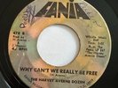 THE HARVEY AVERNE DOZEN - Accept Me / SWEET LATIN SOUL 45 Fania