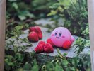 Kirby's Dream Land Adventure 10