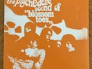 The Psychedelic Sound of Blossom Toes LIVE 1967 RARE Rock Grail
