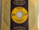 Looking Glass / Brandy (You're a Fine Girl)  / 1972 Epic 45 / NM+