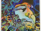 Tim Hollier, by Tim Hollier UK 1970 Fontana