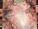 Miracle Mile by STRFKR °SIGNED° (Record, 2013)
