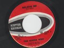 GARAGE ROCKERS 45 - GUESS WHO - BELIEVE ME  / BABY FEELIN' - HEAR - 1966 SCEPTER