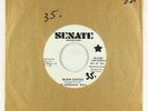 Garage Fuzz 45 - Basement Wall - Never Existed - Senate - VG+ mp3