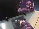 Dead Or Alive - Youthquake - LP Yugoslavia Rare w/Bonus post card and full photo