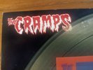 The Cramps – All Women Are Bad 1990 1st press UK import Picture Disc Vinyl LP
