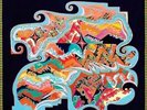 NATURAL INFORMATION SOCIETY - SINCE TIME IS GRAVITY NEW VINYL