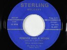 Private Song Poem 45 - Norman Burns - Forever And A Moon - Sterling - mp3