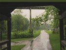 Cloud Nothings The Shadow I Remember (Vinyl LP) 12