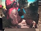 NATURALLY. . . J. J. CALE LP SHELTER RECORDS SW-8909 EXCELLENT