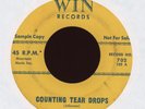Doo Wop 45 - The Del-Satins - Counting Tear Drops on Win [HEAR]