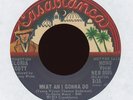 Soul 45 - Gloria Scott - What Am I Gonna Do