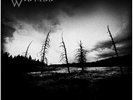 WALKNUT - Graveforests and Their Shadows LP,Silver Black Vinyl, neu, Goatmoon