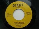 LORRAINE CHANDLER - WHAT CAN I DO