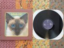 Blink 182 Cheshire Cat Gatefold Vinyl LP Dude Ranch Enema Of The State Take Off