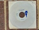 Roz Ryan I Can't See Nothing But The Good In You/You're My Only Temptation 45