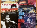 (13) Adam and the Ants 7
