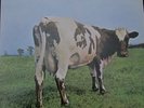 Pink Floyd ' Atom Heart Mother ' 1st Press  Vinyl Album Harvest Records. EX+
